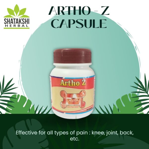 ARTHO - Z CAPSULES